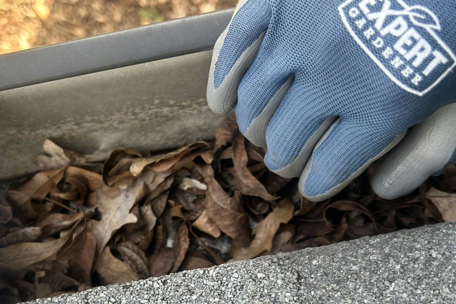 Gutter Cleaning Maple Heights