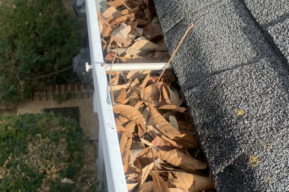 Gutter Cleaning Maple Heights