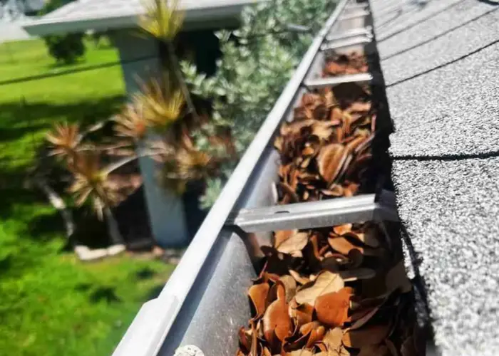 Gutter Cleaning Maple Heights home page